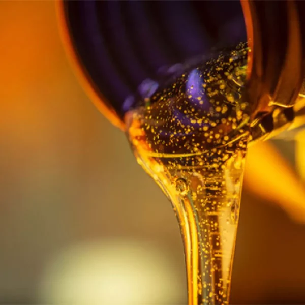 Motorcycle Engine Oils - Image 4